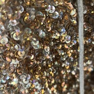 Joie, sparkling gold and silver jacket, size small